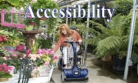 Access.jpg